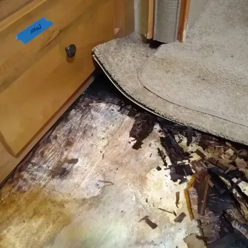 Wood Floor Water Damage in Madison, OH